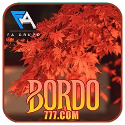 BORDO777